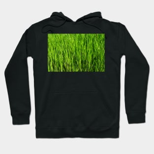 Grass pattern Hoodie